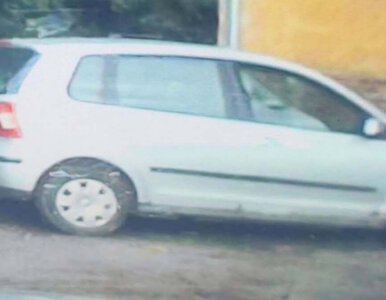Miniatura: Odkryto zwłoki kobiety. Policja poszukuje...