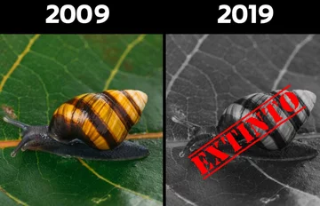 Odpowiedź ekologów na „10 years challenge 