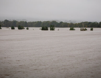 Miniatura: Alert pogodowy w Polsce. „Wnioski po...