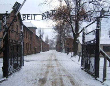 Miniatura: Śledztwo ws. kradzieży w Muzeum Auschwitz...