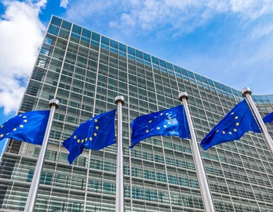 Miniatura: Brytyjski dziennik: Użycie art. 7 wobec...