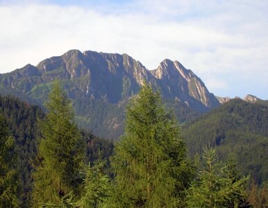 Miniatura: Tatry: wchodził na Giewont, gdy spadł na...