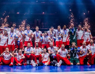 Miniatura: Zwolnienie Nikoli Grbicia to oczywistość....