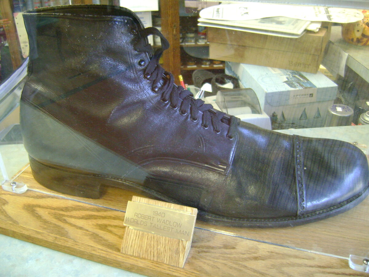 Buty, które nosił Robert Wadlow 
