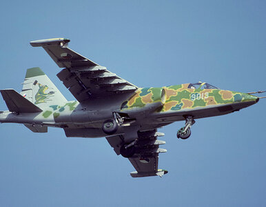 Miniatura: Rosjanie zestrzelili ukraiński myśliwiec