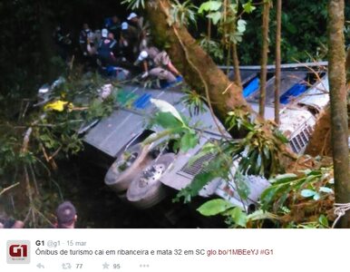 Miniatura: Brazylia: Autobus spadł z klifu. 54 ofiary