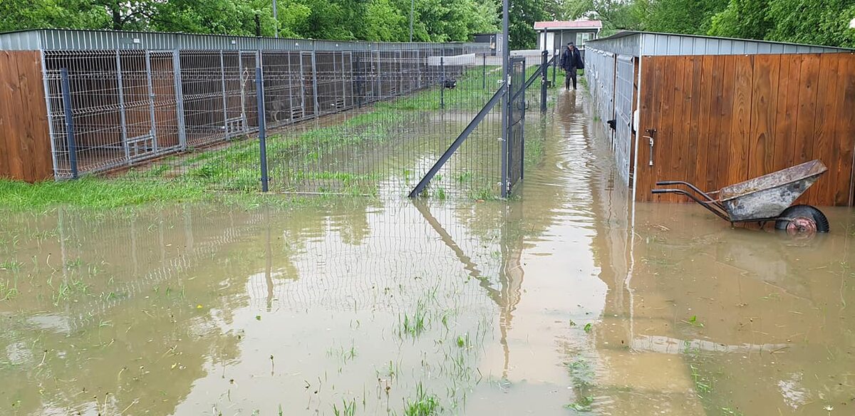 Schronisko dla zwierząt „Czekadełko” 