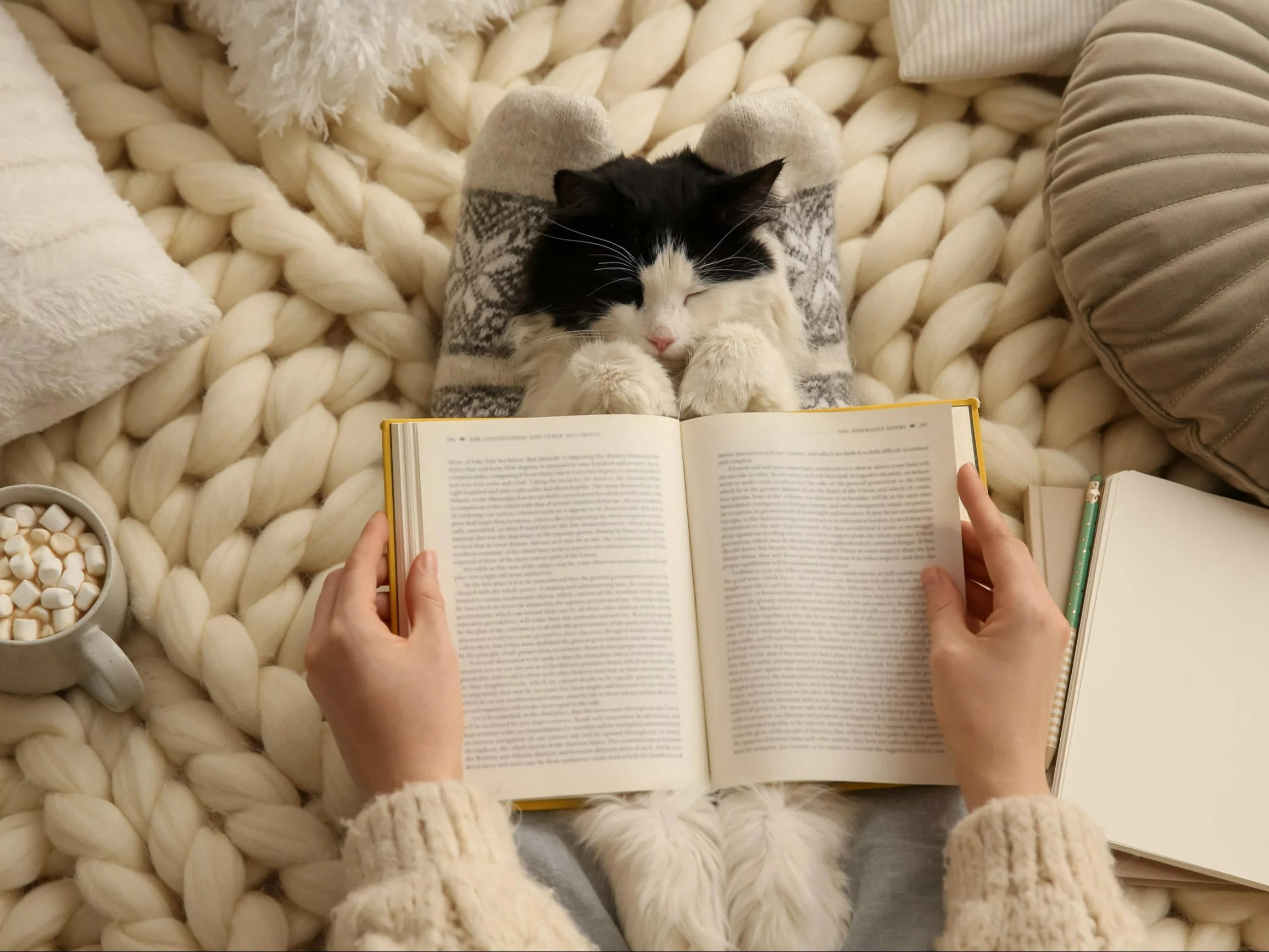 Trudny QUIZ na przedświąteczny weekend