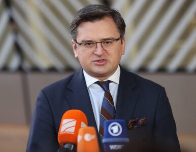 Minister Spraw Zagranicznych Ukrainy: Przygotowania techniczne do...