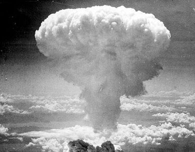 Miniatura: Polityk: Japonia winna zrzucenia bomb na...