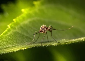 Miniatura: 15 pytań i dwie odpowiedzi: „tak” lub...