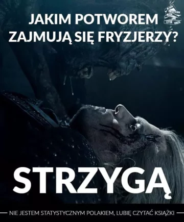 mem o wiedźminie 