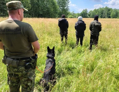 Miniatura: Pomagał migrantom przy polskiej granicy....