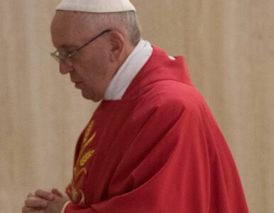 Miniatura: Papież przyspieszył kościelne procedury...