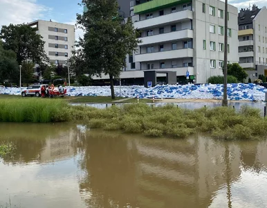 Miniatura: Sprawdziliśmy, jak wygląda sytuacja we...