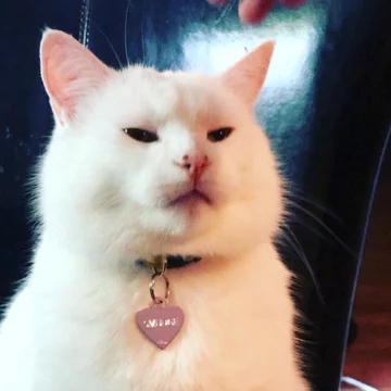 Smudge 