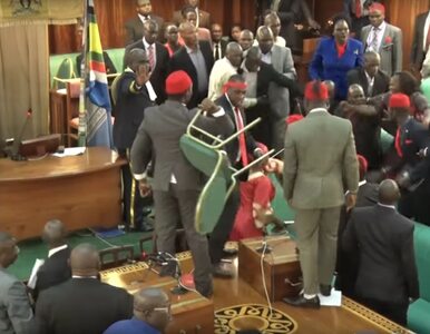 Miniatura: Parlament Ugandy zamienił się w ring....