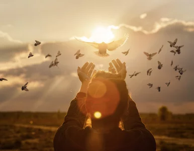 Miniatura: Kto wymyślił duszę? „Sokratejska dusza...