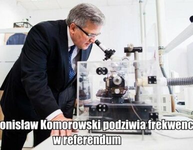 Miniatura: Masz zbędne 100 mln? Zrób referendum!...