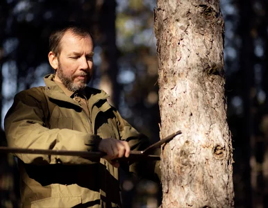 Miniatura: Teraz możesz legalnie wyciąć drzewo – ale...