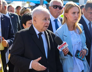 Miniatura: Kaczyński reaguje po konferencji Brauna....