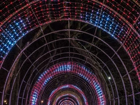 Miniatura: Niemiecki dziennik dostrzegł polską...