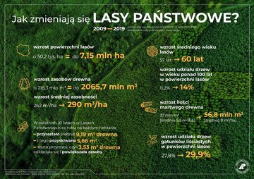 Jak zmieniają się Lasy Państwowe?