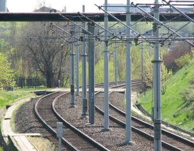 Miniatura: Propozycja PiS: "Metro" w Poznaniu. Tylko...