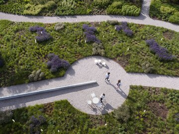 Naturalistyczny ogród Pieta Oudolfa na Vitra Campus w Weil am Rhein – przykład harmonii między dzikością a precyzyjnym projektowaniem 