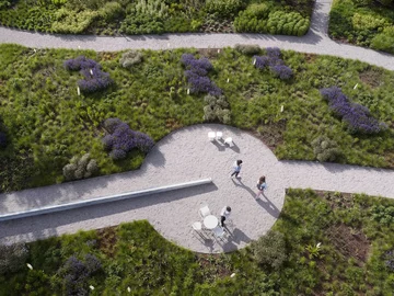 Naturalistyczny ogród Pieta Oudolfa na Vitra Campus w Weil am Rhein – przykład harmonii między dzikością a precyzyjnym projektowaniem 