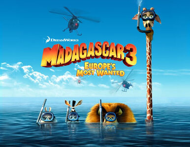 Miniatura: ?Madagascar 3? ściąga ludzi do kin