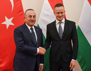 Prezydent Turcji z Pokojową Nagrodą Nobla? Węgierski minister proponuje...