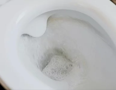 Miniatura: Po 20 minutach toaleta będzie lśniła jak w...