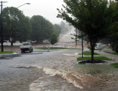 Miniatura: Powódź znów nęka Australię