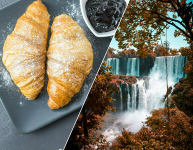 Miniatura: 5 kategorii, 10 pytań. Komplet punktów...