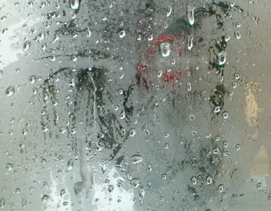 Miniatura: Dlaczego na oknie zbiera się woda? Zrób...
