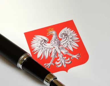 Miniatura: Wielki strach przed referendum