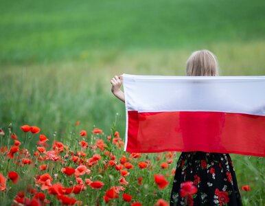 Miniatura: QUIZ wiedzy o Polsce. Będziesz dobry,...
