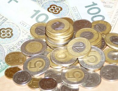 Miniatura: W Polsce trwa portowa hossa na inwestycje
