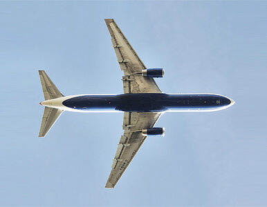 Miniatura: Boeing 767 przeleci nisko nad Piknikiem