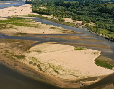 Miniatura: Katastrofa hydrologiczna w stolicy. Wisła...