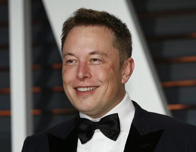 Elon Musk jedną sondą wywołał wściekłość. Ukraiński dyplomata: „Spier*****”