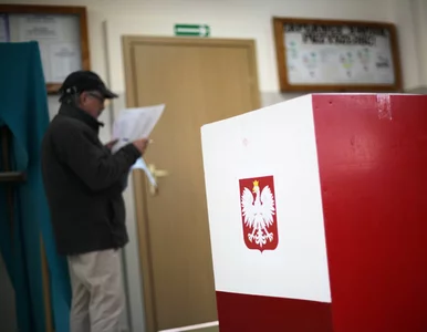 Miniatura: 16-latkowie do urn? "Skoro mogą współżyć...