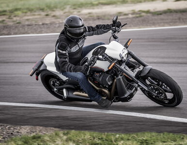 Miniatura: Harley Davidson FXDR