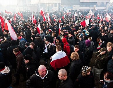 Miniatura: Policja: to nie my, tylko organizatorzy...