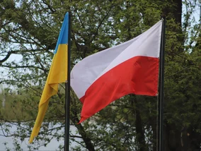 Miniatura: Ukraińcy zapytani o życie w Polsce....