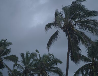 Miniatura: Cyklon uderzył w tropikalną wyspę. Co...