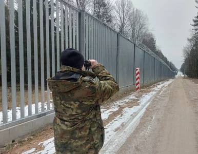 Miniatura: Migranci nie odpuszczają. Straż Graniczna...