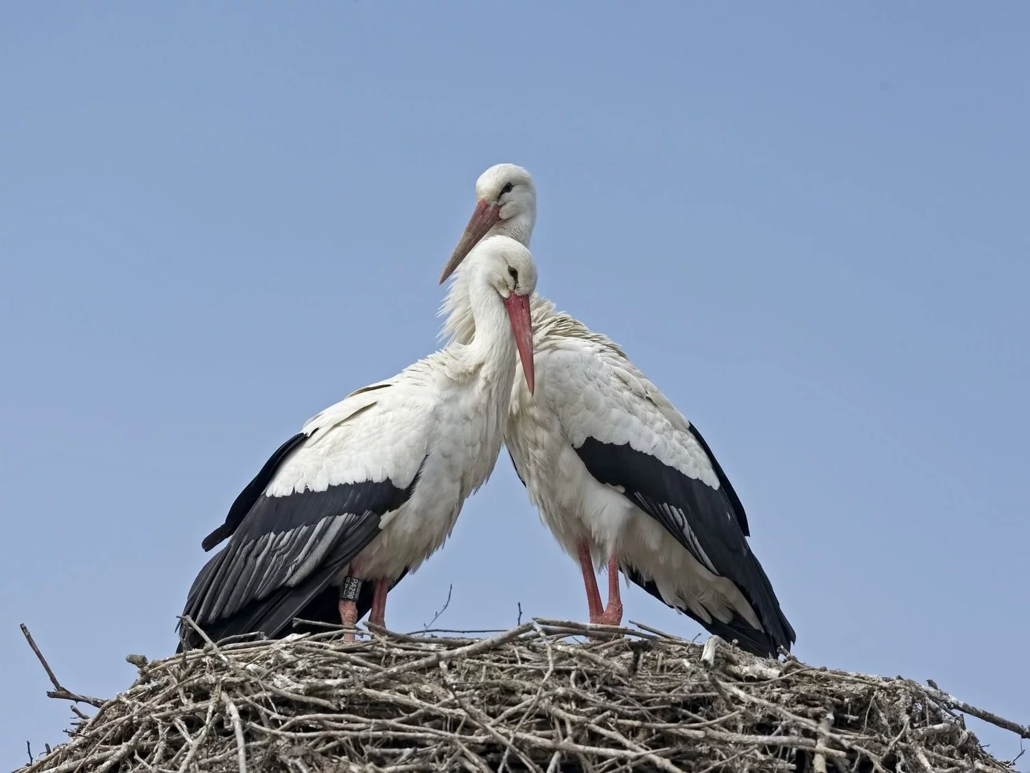 Od Tatr po Bałtyk. Ile wiesz o Polsce? Tylko najlepsi zdobędą w naszym QUIZIE 9/10!
