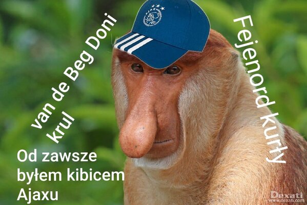 Miniatura: Memy po wtorkowych ćwierćfinałach Ligi...